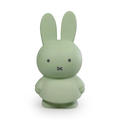 Afbeelding van Atelier Pierre Junior Nijntje Spaarpot Small Eucalyptus