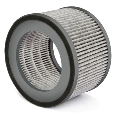 Afbeelding van Leifheit Airfresh Clean 400 Reservefilter 1 stuk(s)
