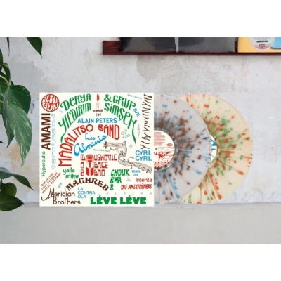 Afbeelding van V/A 2015 2025: Les Disques Bongo Joe (2 LPs)