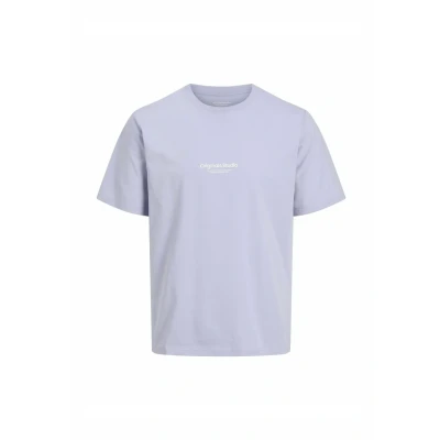 Afbeelding van Jack &amp; Jones Jorvesterbro CREW NECK Tshirt print, Heren, Maat: Large, Cosmic sky