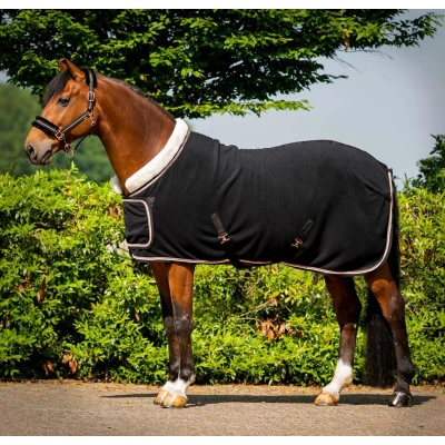 Image de HB Couverture de Concours Dutch Crown Europe Rose Noir 125/175