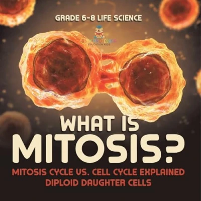 Afbeelding van What is Mitosis? Mitosis Cycle vs. Cell Explained Diploid Daughter Cells Grade 6 8 Life Science