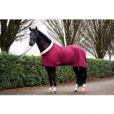 Afbeelding van HB Showdeken Showtime Velvet Spring Burgundy 125/175 Agradi.be