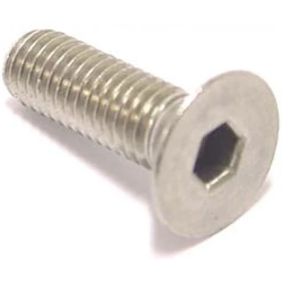 Afbeelding van Bofix Remschijfbout M8x30 inbus met verzonken kop RVS (10 stuks)