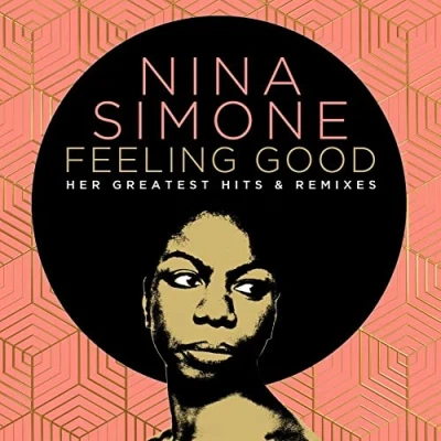 Afbeelding van Nina Simone Feeling Good: Her Greatest Hits And Remixes (2 CD)