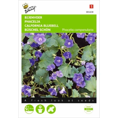 Afbeelding van Phacelia campanularia Buzzy
