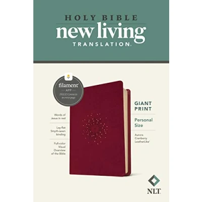 Afbeelding van NLT Personal Size Giant Print Bible, Filament Edition