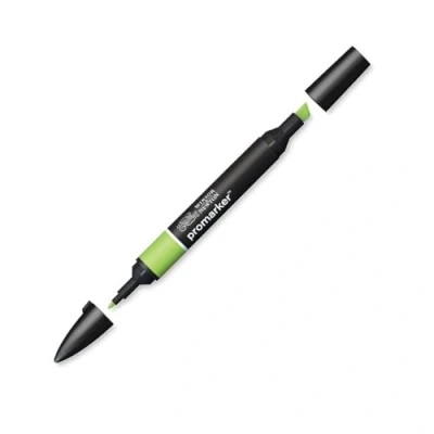 Afbeelding van Winsor &amp; Newton ProMarker 0203341 professionele markeerstiften, 2 fijne en brede punten, voor tekeningen, design lay out, bladgroen
