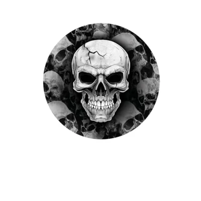 Afbeelding van Fiestas Guirca Halloween/horror schedel/doodshoofd bordjes 6x zwart papier D23 cm
