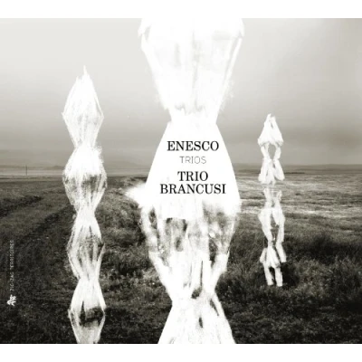 Afbeelding van Trio Brancusi Trios (CD)