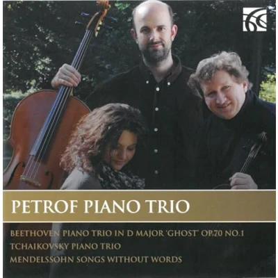 Afbeelding van Petrof Piano Trio (CD)