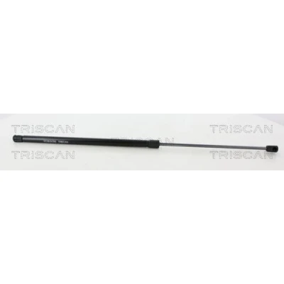 Afbeelding van Triscan Gasveer 8710 38246
