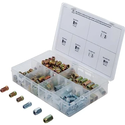Afbeelding van BGS 70341 Assortiment wartelmoeren en schroeven voor schroefdraadverbindingen van remleidingen 135 stuks