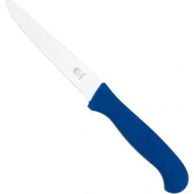 Afbeelding van RÖR Solingen Tafelmes RVS Lemmet 10.5 cm Blauw Kunststof