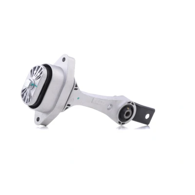 Afbeelding van REINHOCH RH11 0111 Aslichaam / motorsteunlager Achter VOLKSWAGEN: New Beetle Hatchback, Golf 4, Bora Variant, SEAT: Leon I Hatchback