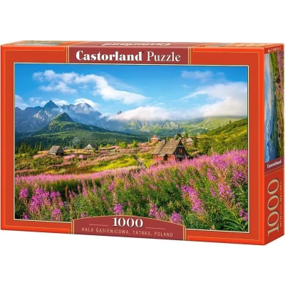 Afbeelding van Castorland Legpuzzel Polen Karton 1000 Stukjes