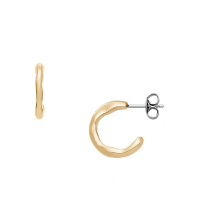 Afbeelding van Skagen SKJ1868710 Dames Oorbellen 15.4mm Goudkleurig