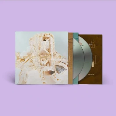 Afbeelding van Pale Saints In Ribbons (2Cd)