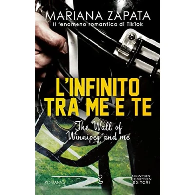 Afbeelding van L&#039;infinito tra me e te. The Wall of Winnipeg and