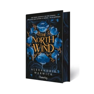 Afbeelding van FOUR WINDS,1:THE NORTH WIND