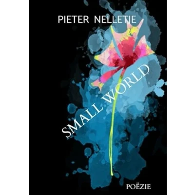 Afbeelding van SMALL WORLD