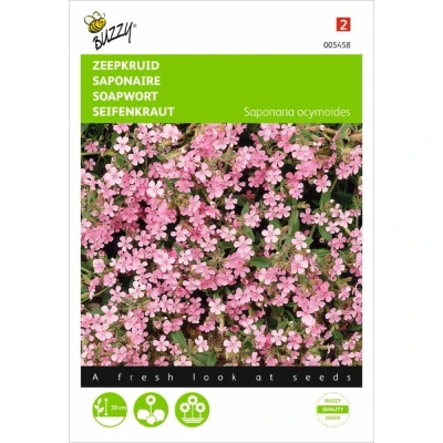 Afbeelding van Saponaria ocymoides Zeepkruid Rose Buzzy