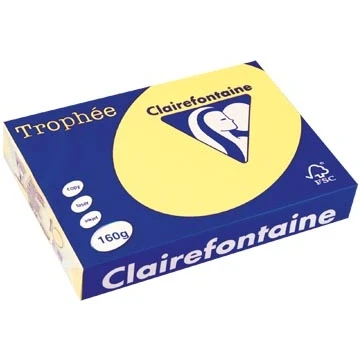 Afbeelding van Clairefontaine Trophée Pastel, Gekleurd Papier, A4, 160 G, 250 Vel, Citroengeel Papier