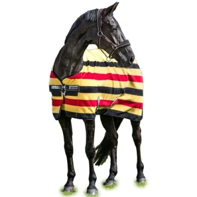 Afbeelding van Horseware Rambo Deluxe Fleece Witney Goud