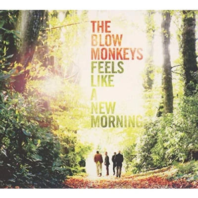 Afbeelding van Feels Like A New Morning
