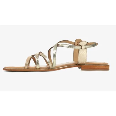 Afbeelding van Les Tropeziennes par M Belarbi Harry Sandalen Or multi, Dames, Maat: 38, multi Leer