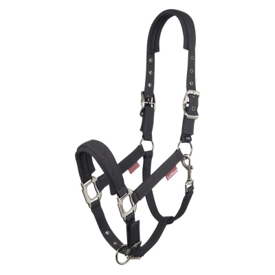 Image de LeMieux FW&#039;24 Softshell Halter