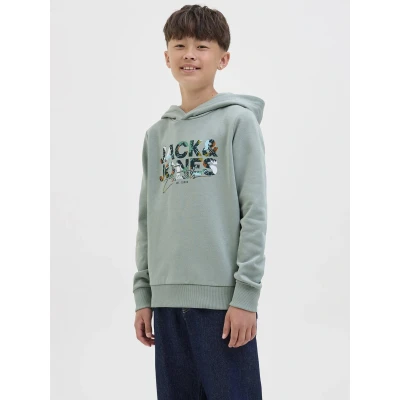 Afbeelding van JACK&amp;JONES JJGEPLAS SWEAT HOOD JNR Jongens Sweaters