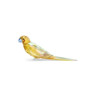 Afbeelding van Swarovski Jungle Beats Gele Parakeet Lechee 5619217
