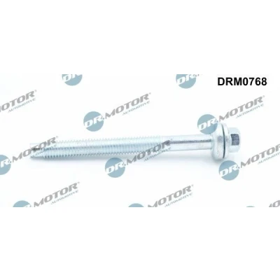 Afbeelding van DR.MOTOR AUTOMOTIVE DRM0768 Schroef, inspuitstukhouder OPEL: Vivaro A Van, RENAULT: GRAND SCENIC 4, MEGANE 3 Grandtour, 2 Kombi