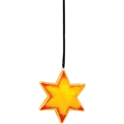 Afbeelding van Colorations Vulbaar Ornament Transparante Ster, Set van 12