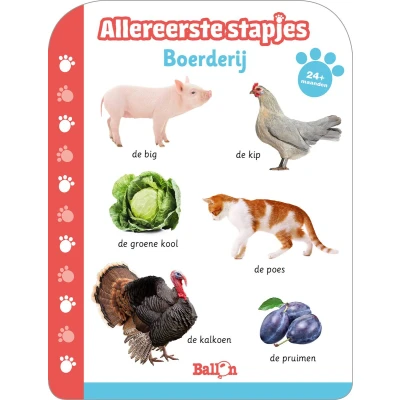 Afbeelding van Allereerste stapjes Boerderij 24m+