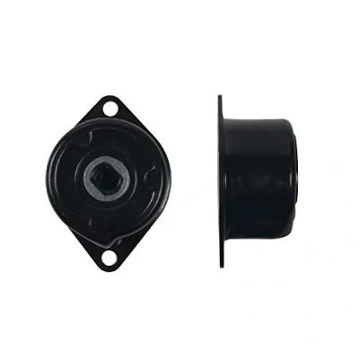 Afbeelding van Gates Spanrol (poly) V riem T39200