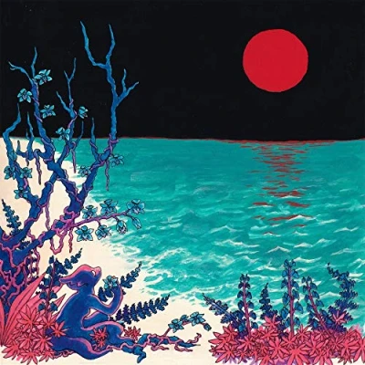Afbeelding van Glass Beach First Album (2 LPs)