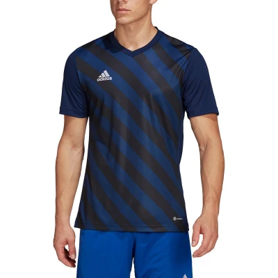 Afbeelding van adidas Performance Entrada 22 GFX Voetbalshirt, Heren, Maat: Small, Team navy blue/black