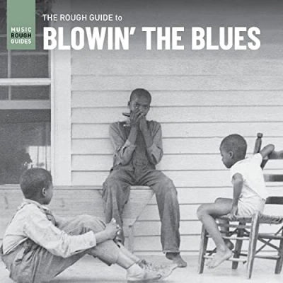 Afbeelding van Various Artists The Rough Guide To Blowin&#039; Blues (LP)