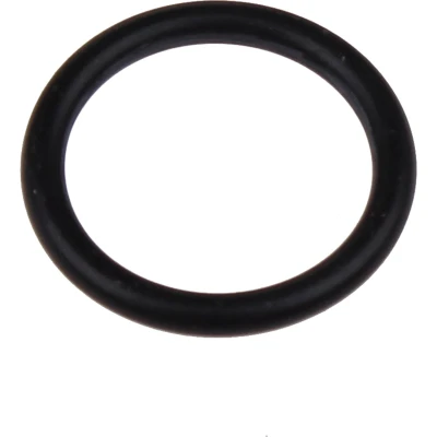 Afbeelding van Karcher O ring 17,86x2,62 90814200
