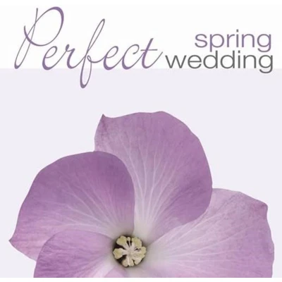 Afbeelding van Various Artists Perfect Spring Wedding (CD)