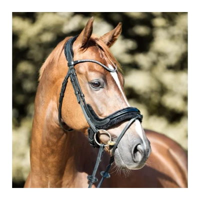 Image de Kavalkade Bridle Ivella