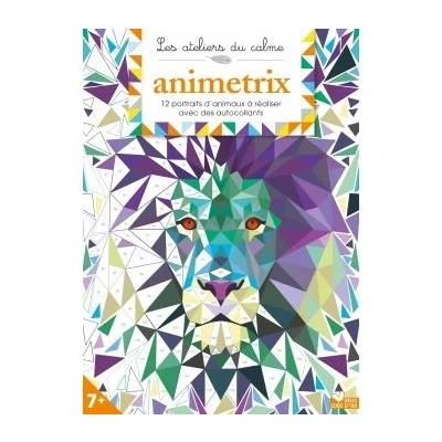 Image de Animetrix cahier avec autocollants