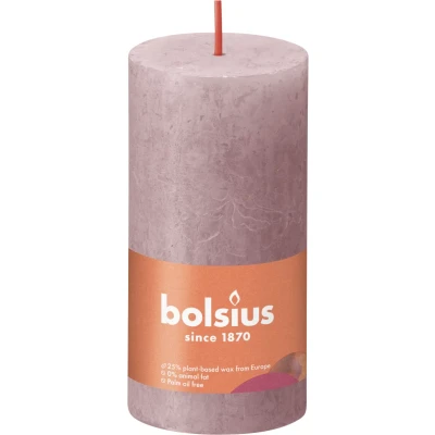 Afbeelding van Rustiek stompkaars 100/50 Ash Rose Bolsius
