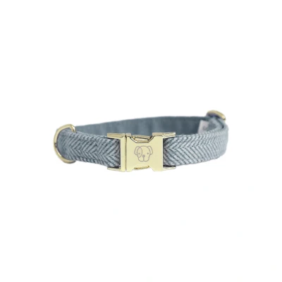 Image de Kentucky Collier pour Chien Laine Bleu clair M