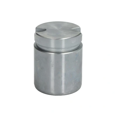 Afbeelding van Zuiger, remklauw AUTOFREN SEINSA D025608