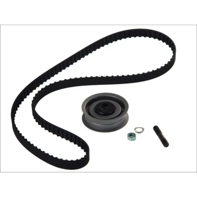 Afbeelding van Skf Distributieriem kit VKMA 01002