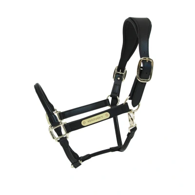 Image de Kentucky Horsewear Licou Bride Noir Cob