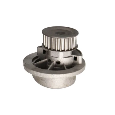 Afbeelding van Magneti Marelli Waterpomp 350981817000